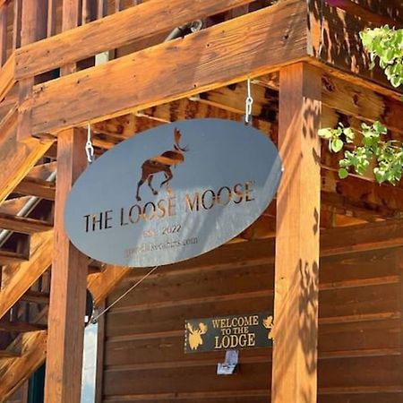 The Loose Moose Lodge #3 At Downtown Grand Lake Exteriör bild